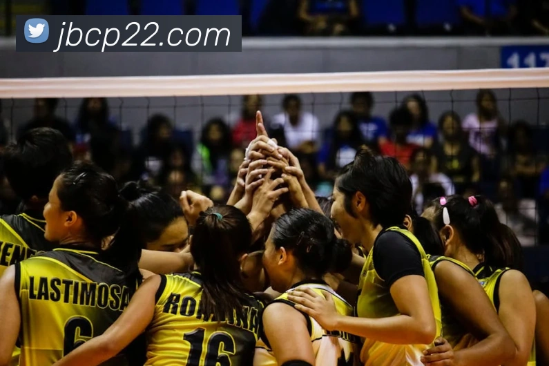 金贝体育平台生态图